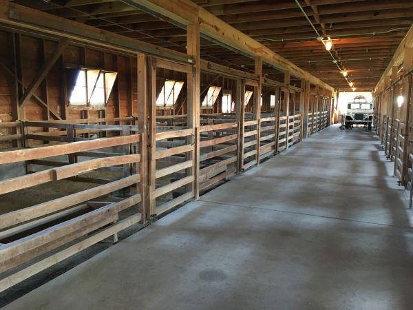 Barn Slab Construction in Leland